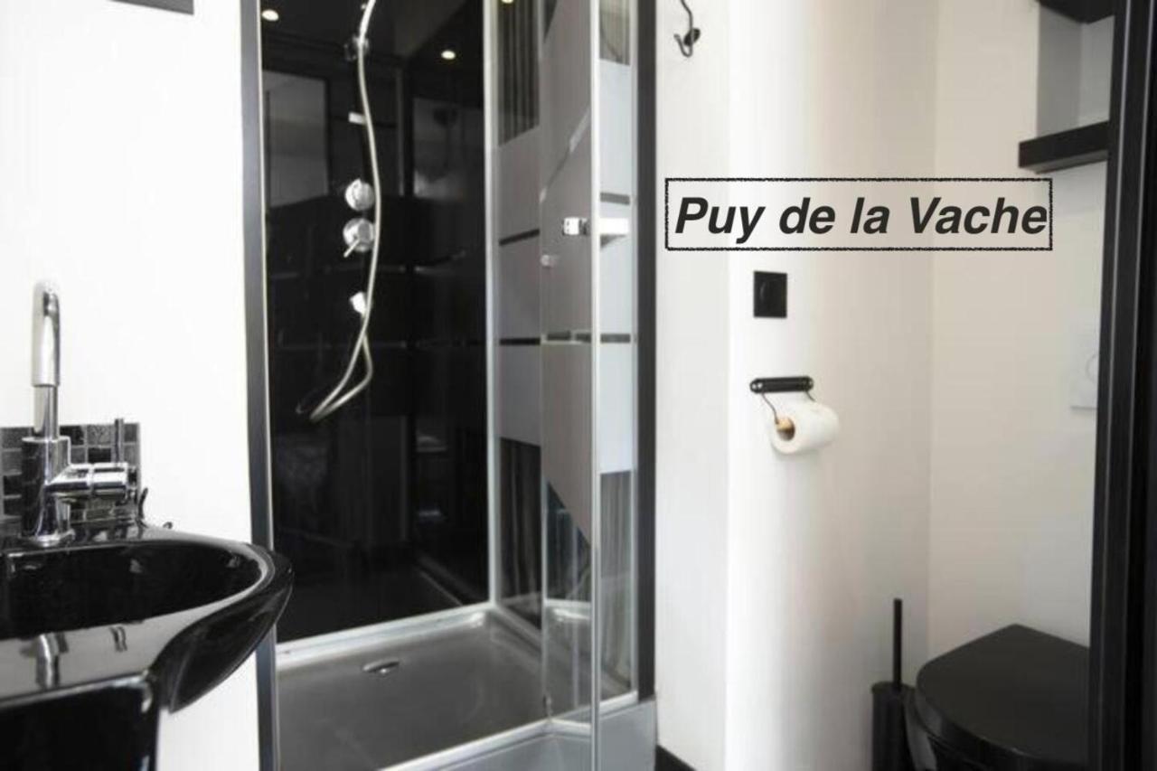 Logements Chaine Des Puys Avec Garages Attenants Клермон-Феран Екстериор снимка
